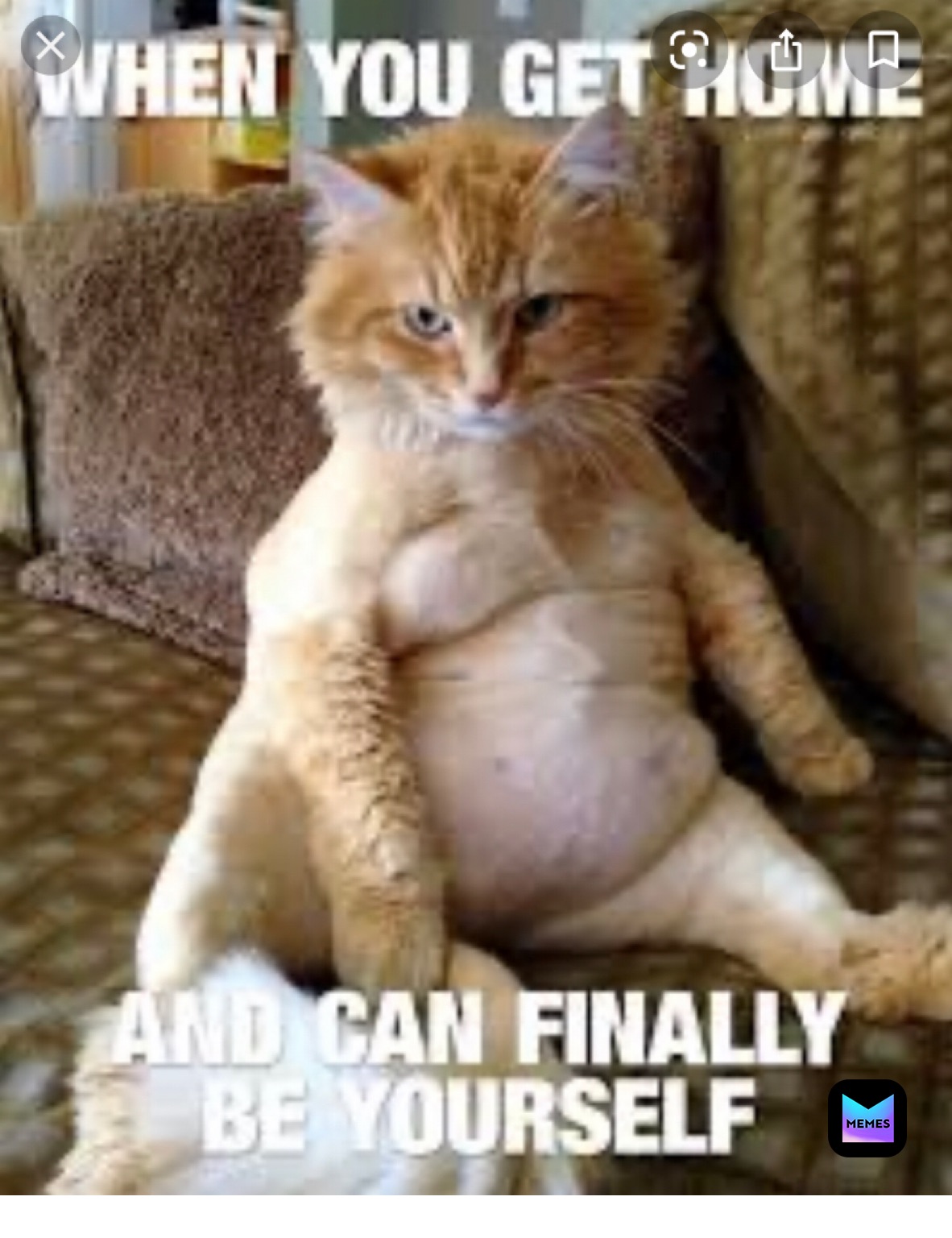 Meme by ilikespidersss