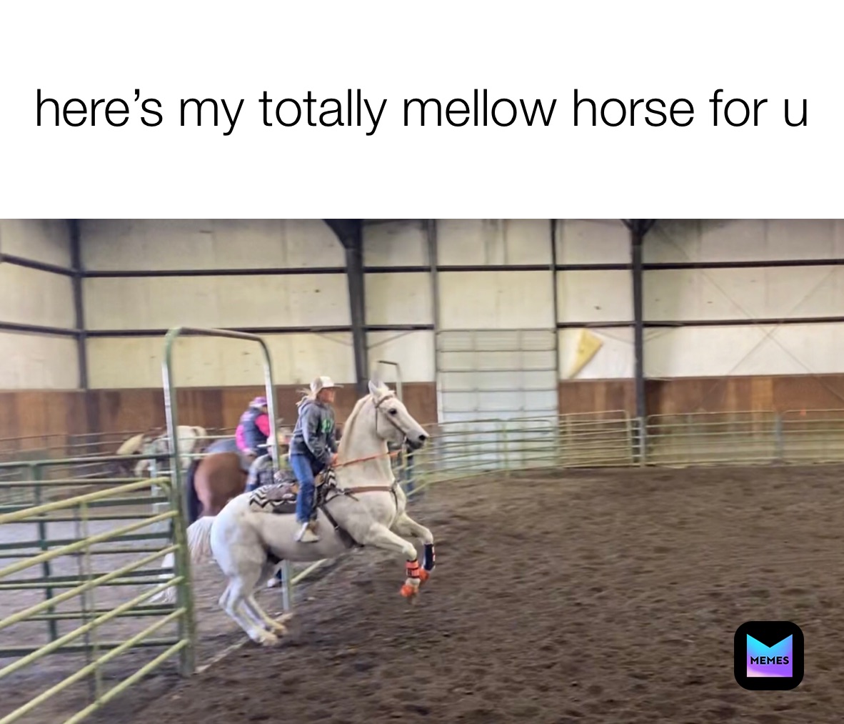 Meme by ilikespidersss