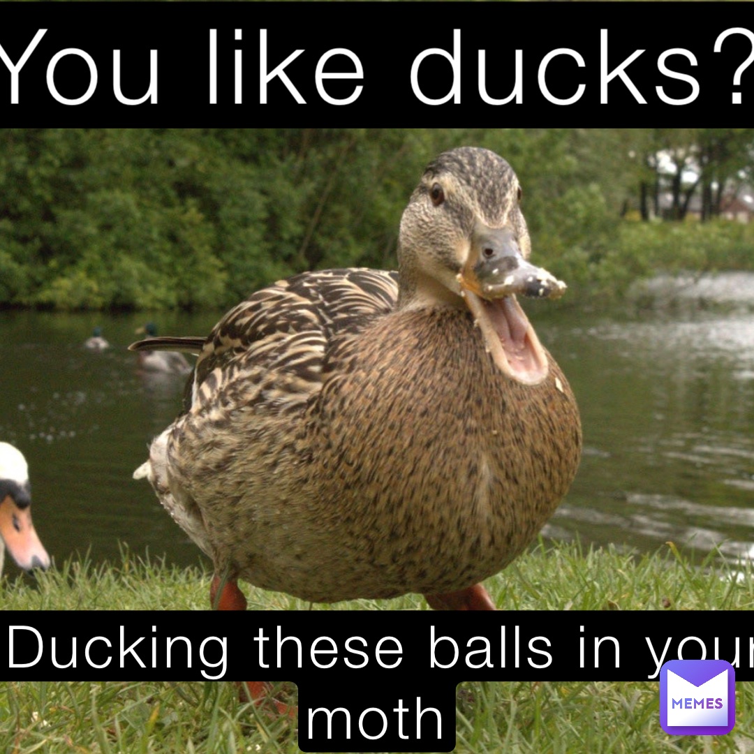 You like ducks? Ducking these balls in your moth