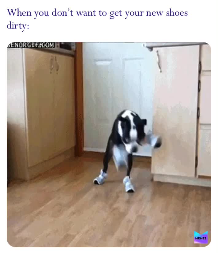 Meme preview