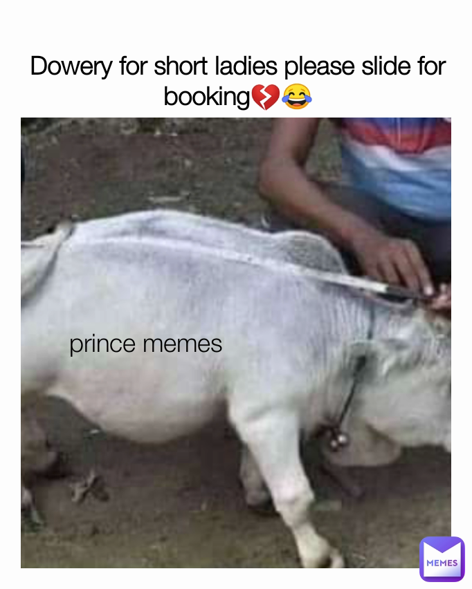 prince memes Dowery for short ladies please slide for booking💔😂