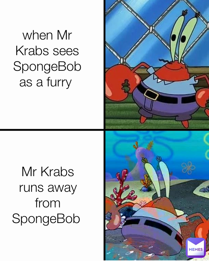 when Mr Krabs sees SpongeBob as a furry  Mr Krabs runs away from SpongeBob 