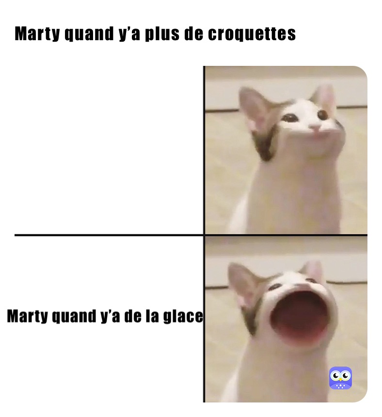 Marty quand y’a plus de croquettes | @el-rachid28 | Memes