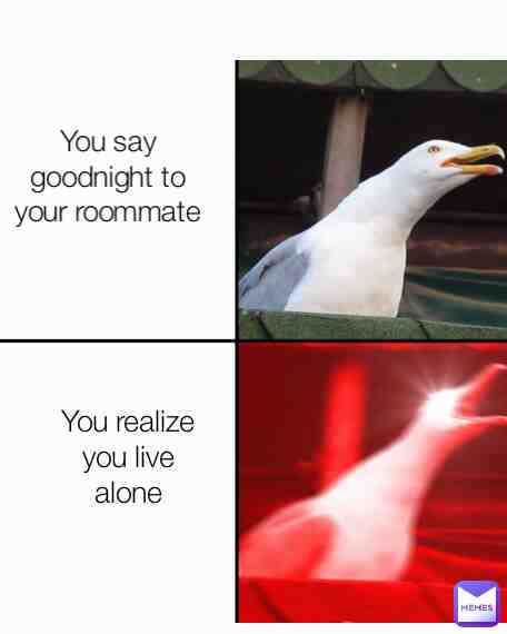 Meme shared by @Dinoturtle