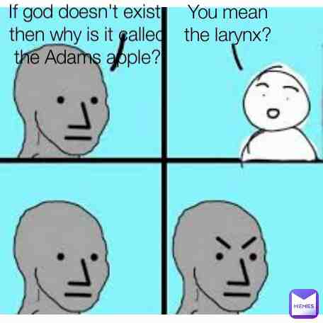 Meme shared by @Dinoturtle