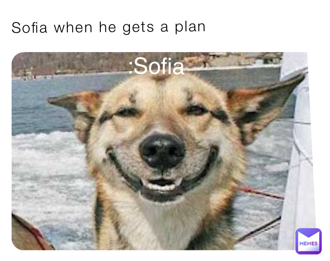 Meme by Vanesskokonut