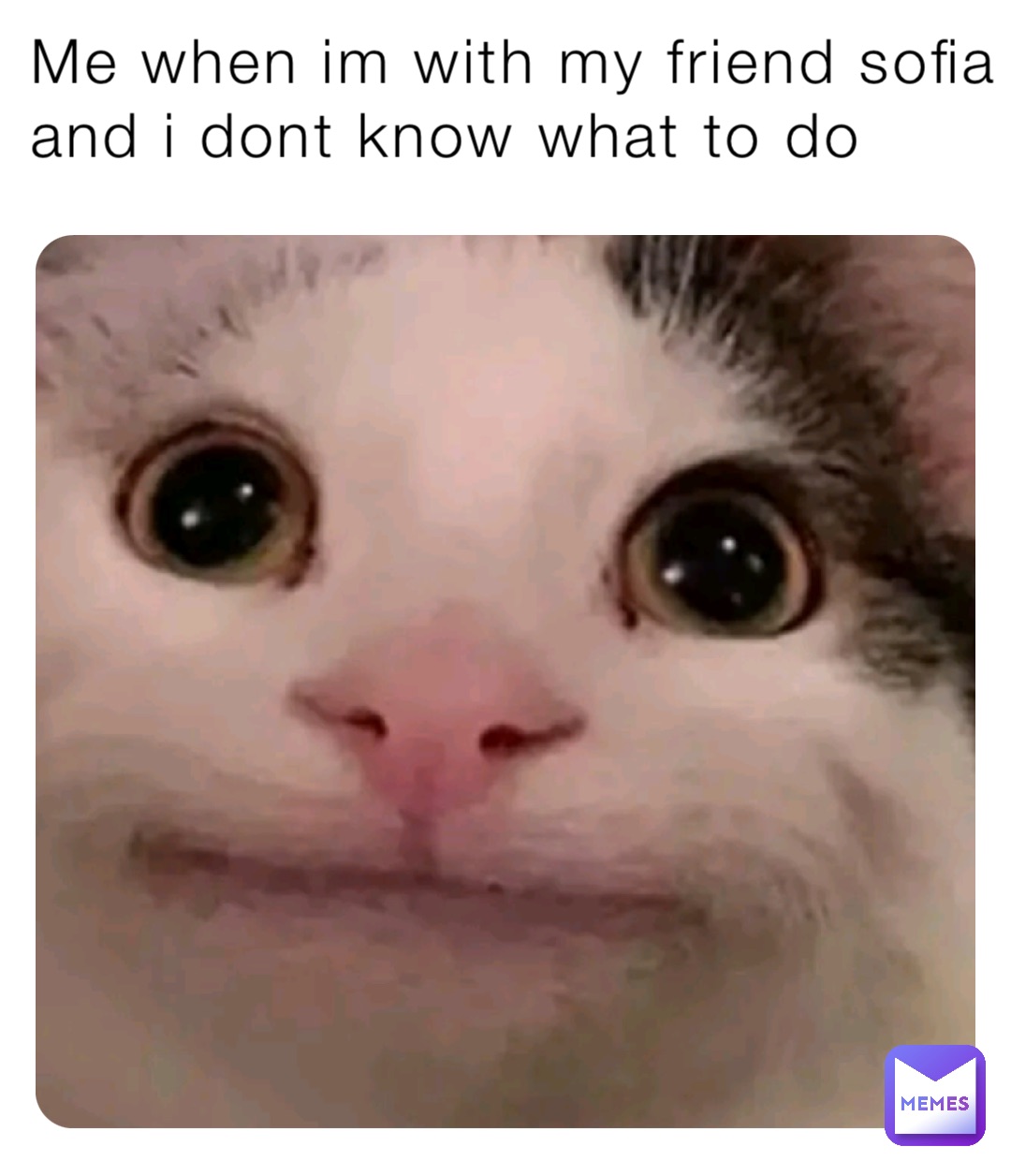 Meme by Vanesskokonut