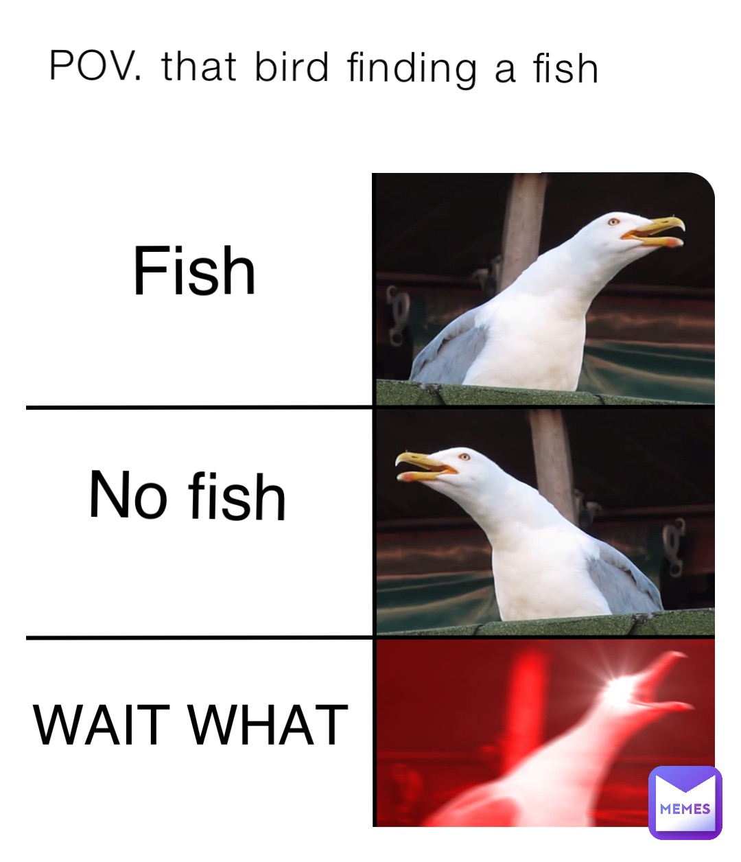 Meme by Vanesskokonut