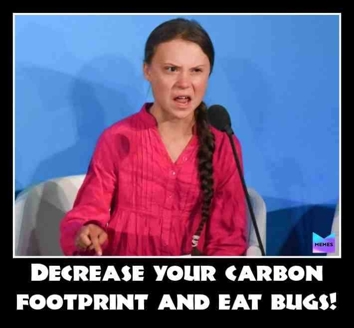 #strongwoman #progress #everydaylife #soyfolk #Borderline #patriarchy #oldfags #sweden #Swedism #notintheclassroom #gretathunberg #greta