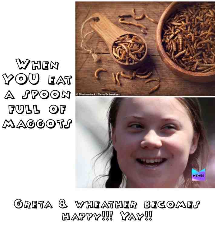 #dankmemes #memesdaily #memes #gretathunberg #fagpest #degenerates #soros #climatechange