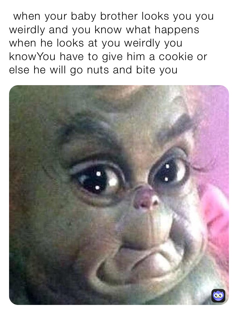 ￼ when your baby brother looks you you weirdly and you know what happens when he looks at you weirdly you knowYou have to give him a cookie or else he will go nuts and bite you￼￼￼￼