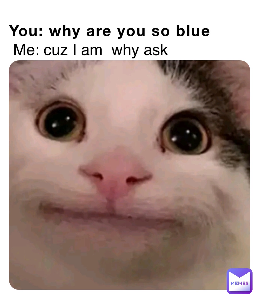 You: why are you so blue Me: cuz I am  why ask