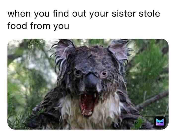 Meme preview