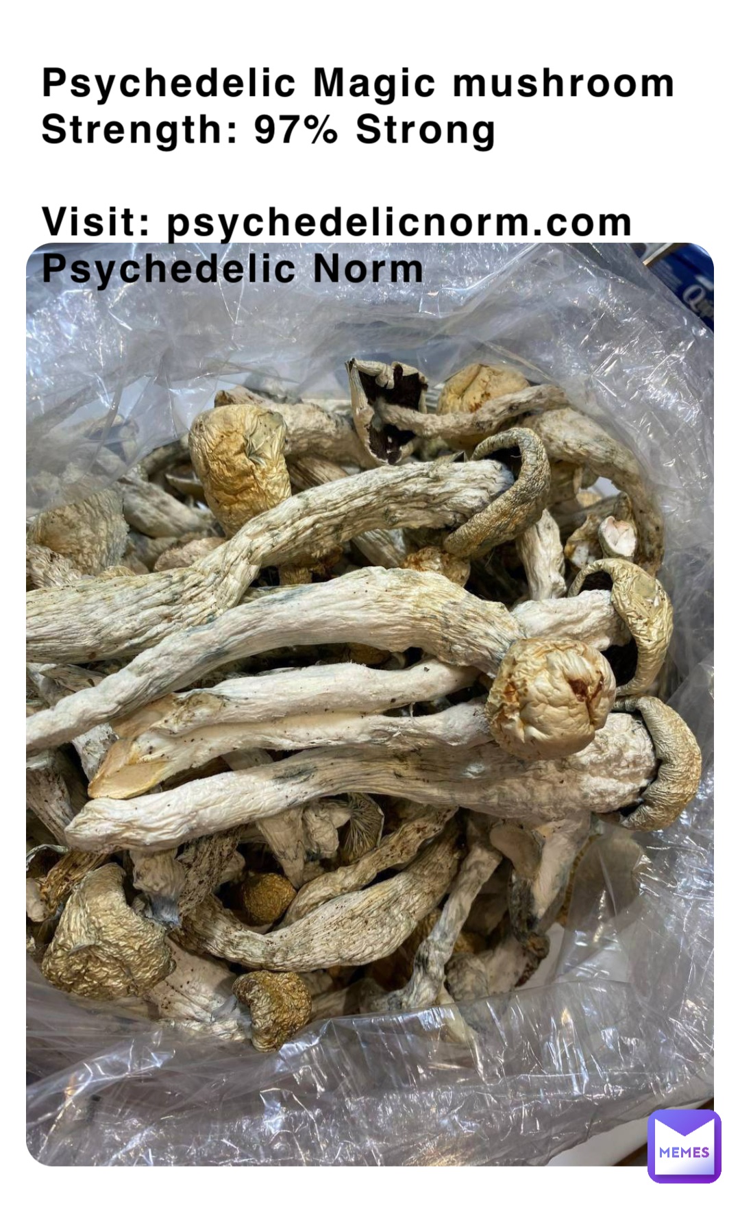 Psychedelic Magic mushroom
Strength: 97% Strong

Visit: psychedelicnorm.com
Psychedelic Norm