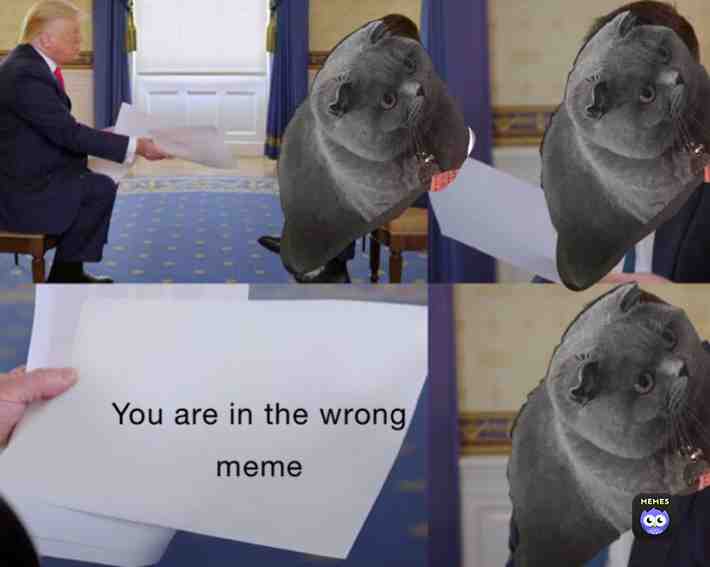 Meme shared by @zero_6468