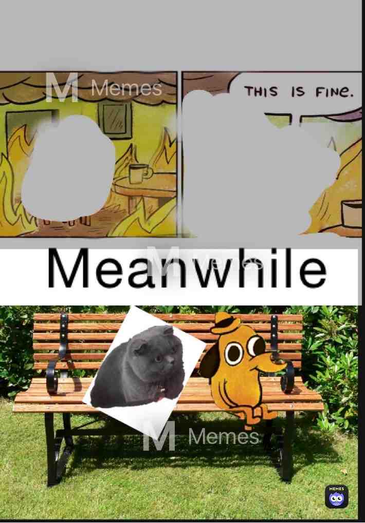 Meme shared by @zero_6468