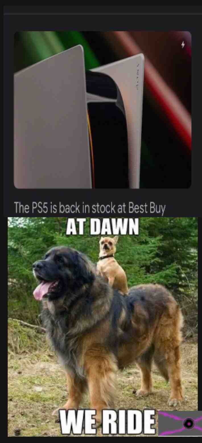 Meme shared by @zero_6468