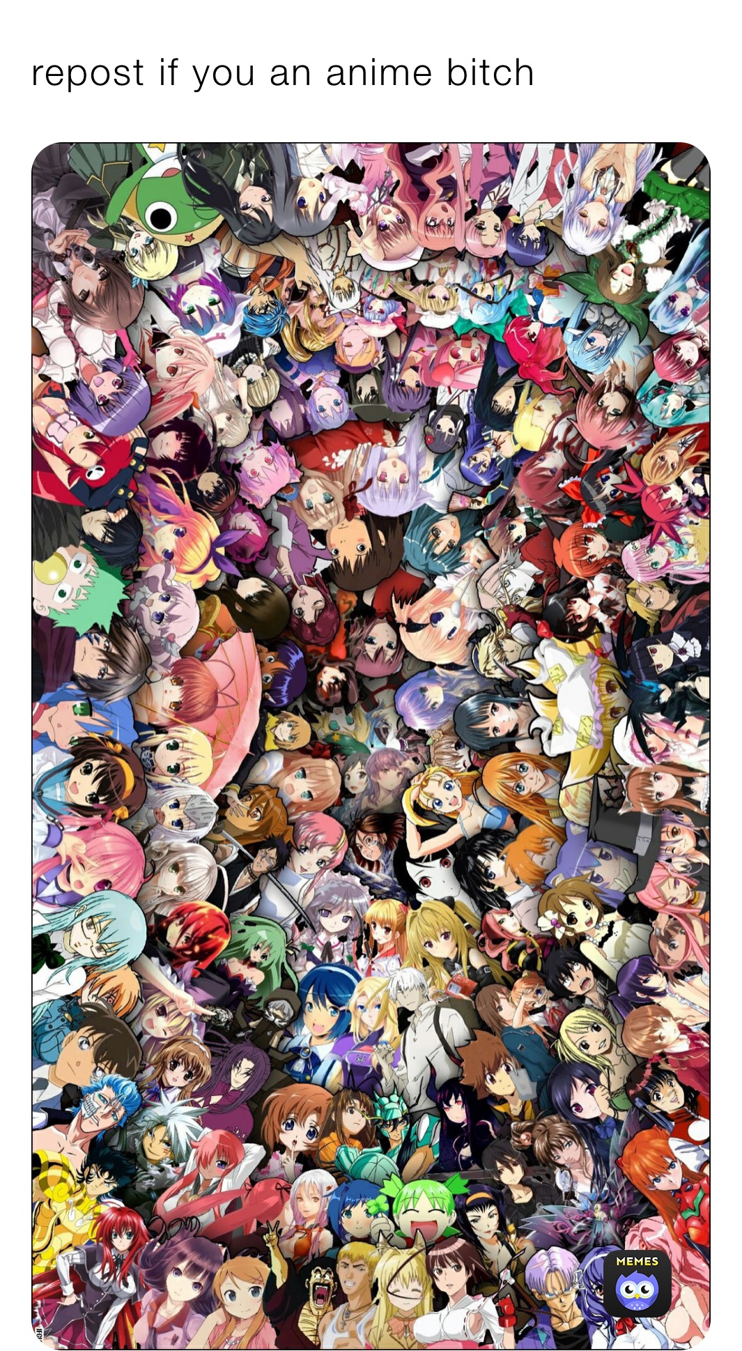 repost if you an anime bitch