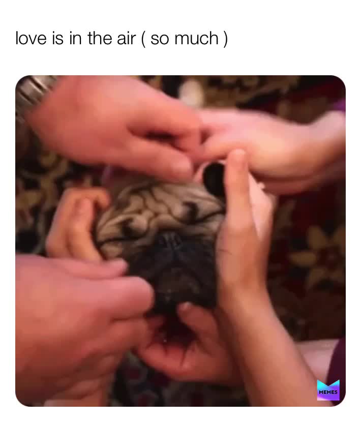 Meme shared by @jjand