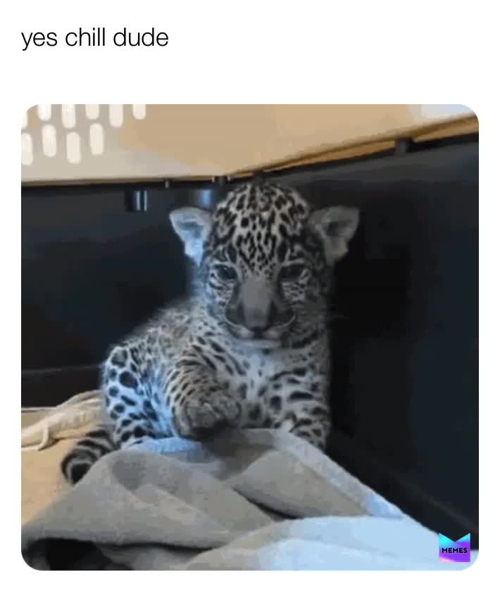 Meme shared by @jjand
