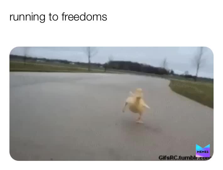 Meme shared by @jjand