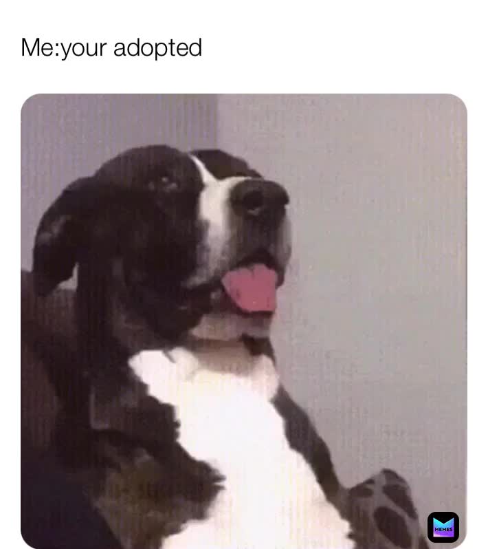 Meme shared by @jjand