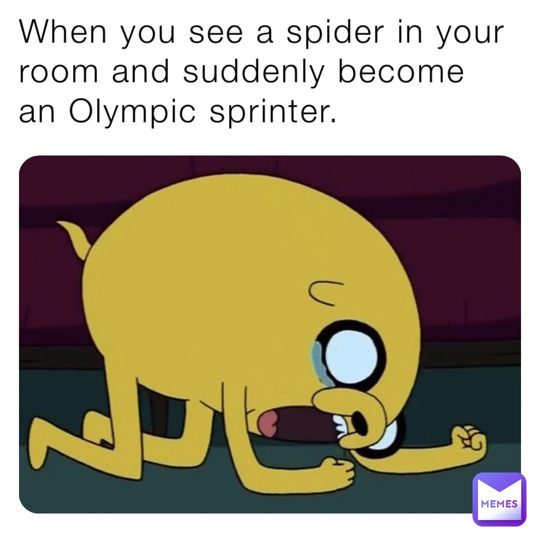 When you see a spider in your room and suddenly become an Olympic sprinter.