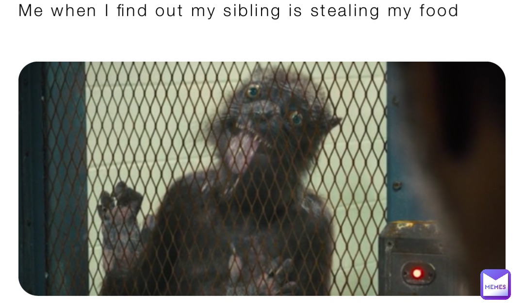 Me when I find out my sibling is stealing my food