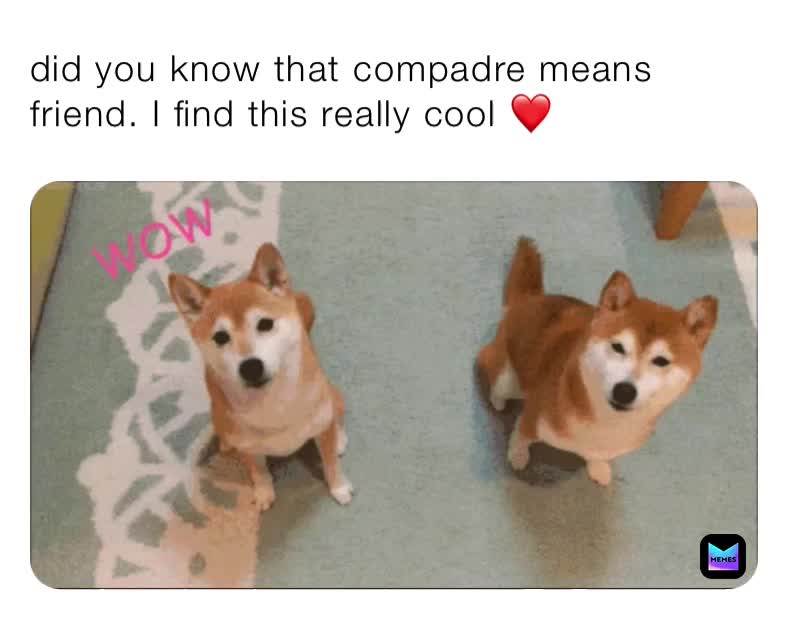 did you know that compadre means friend. I find this really cool ️ ...