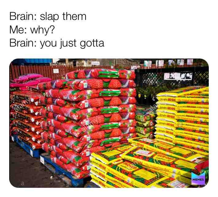 #meme ​ #memes  #compost  #BnQ