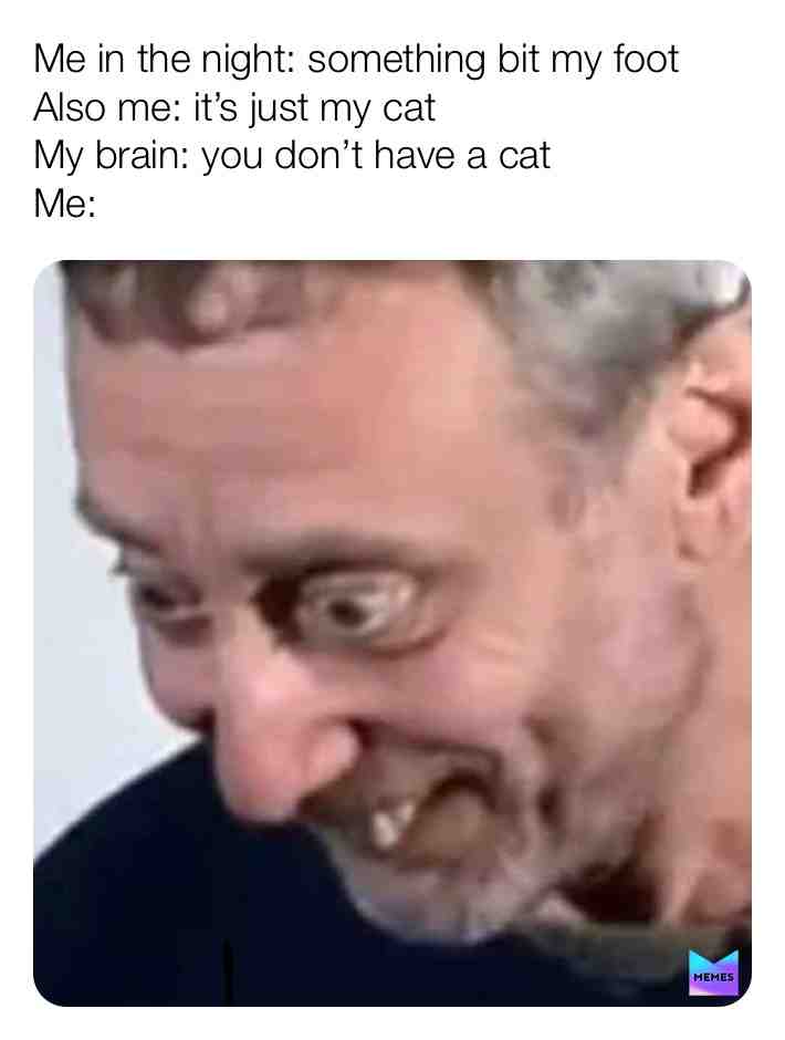  #meme #memes #michaelrosen #choclatecake #cat