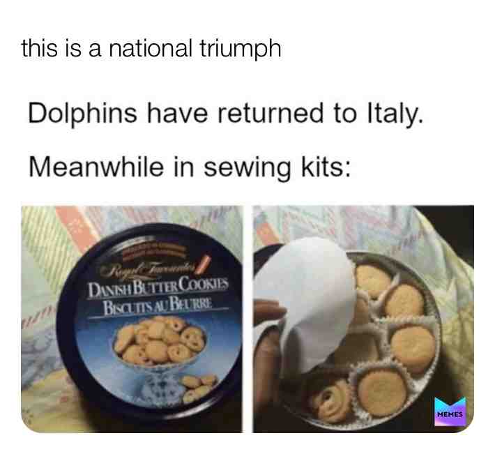 ​ #meme ​ #memes  #stayathome  #stayhome  #sewingtins  #cakes