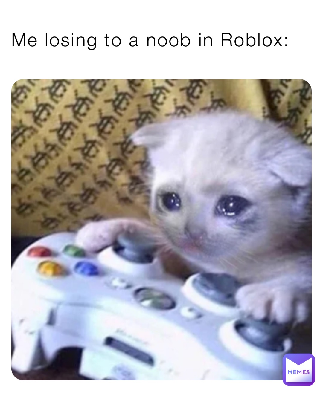 Me losing to a noob in Roblox: