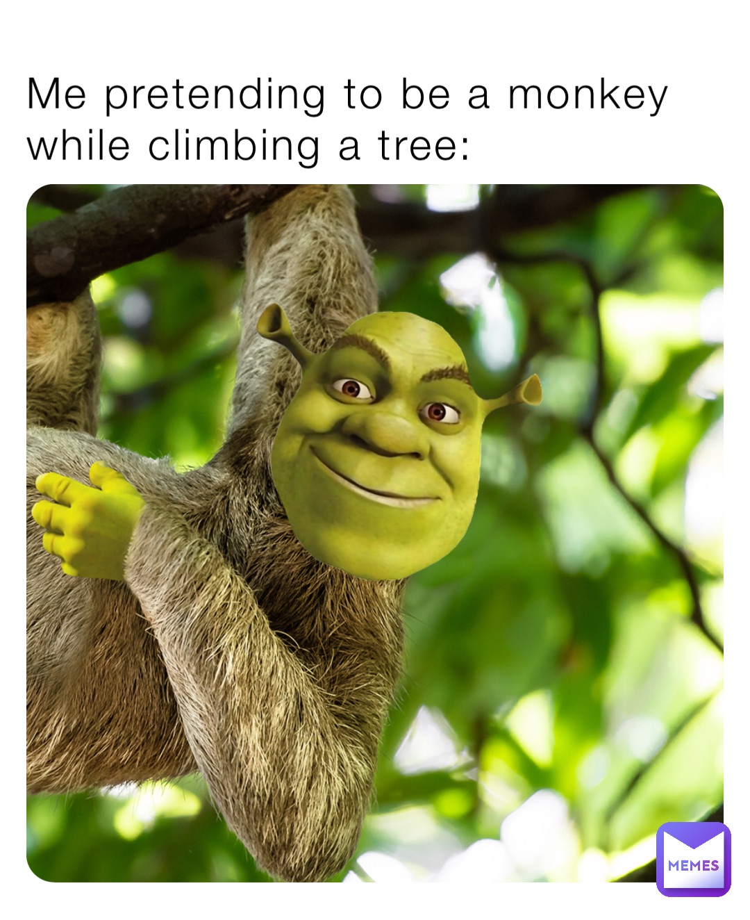Me pretending to be a monkey while climbing a tree: