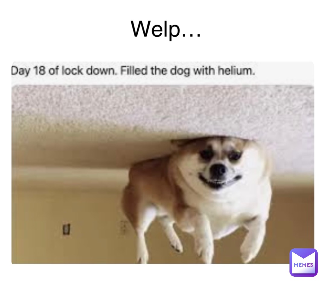 Welp…
