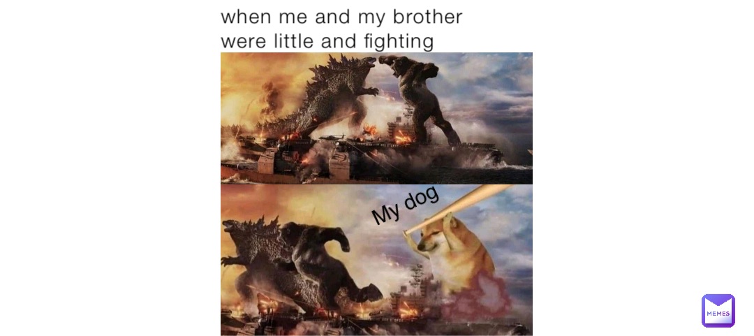 when me and my brother were little and fighting My dog