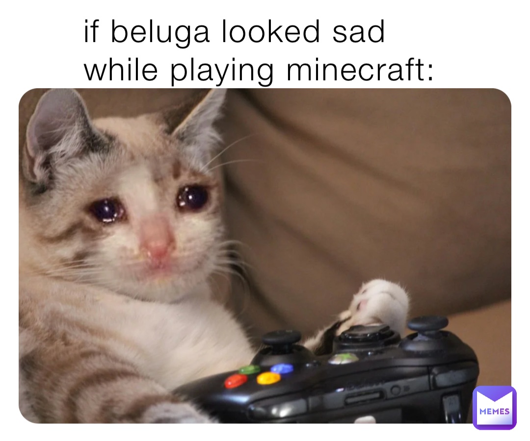 if beluga looked sad while playing minecraft: