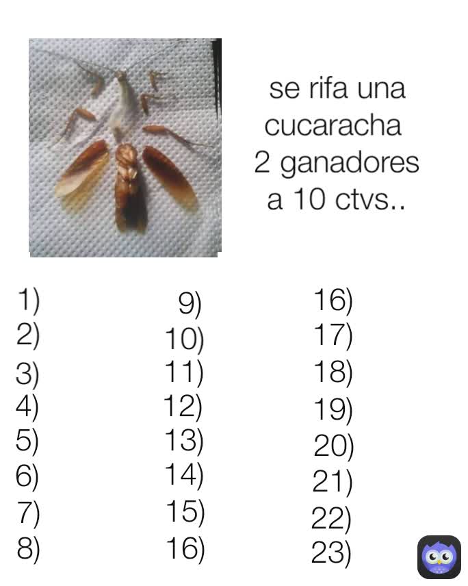 18) 12) 22) se rifa una cucaracha 
2 ganadores a 10 ctvs.. 16) 7) 16)
 15) 1) 6) 8) 11) 14) 21) 19)
 5) 23) 2) 4) 17) 13) 20) 10) 9) 3)