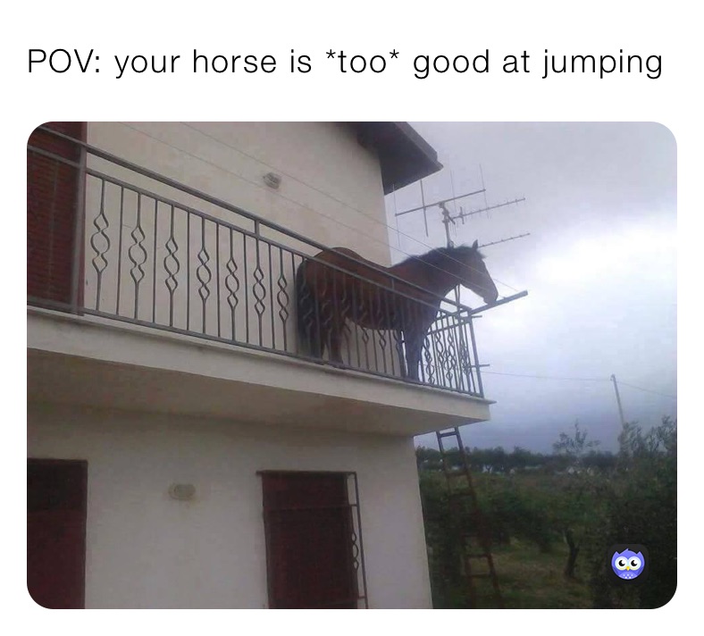 POV: your horse is *too* good at jumping
