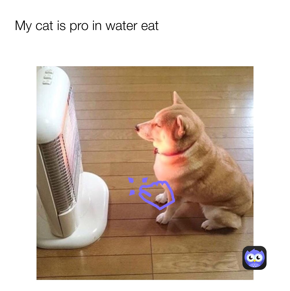 Meme by hussnainsheikh12