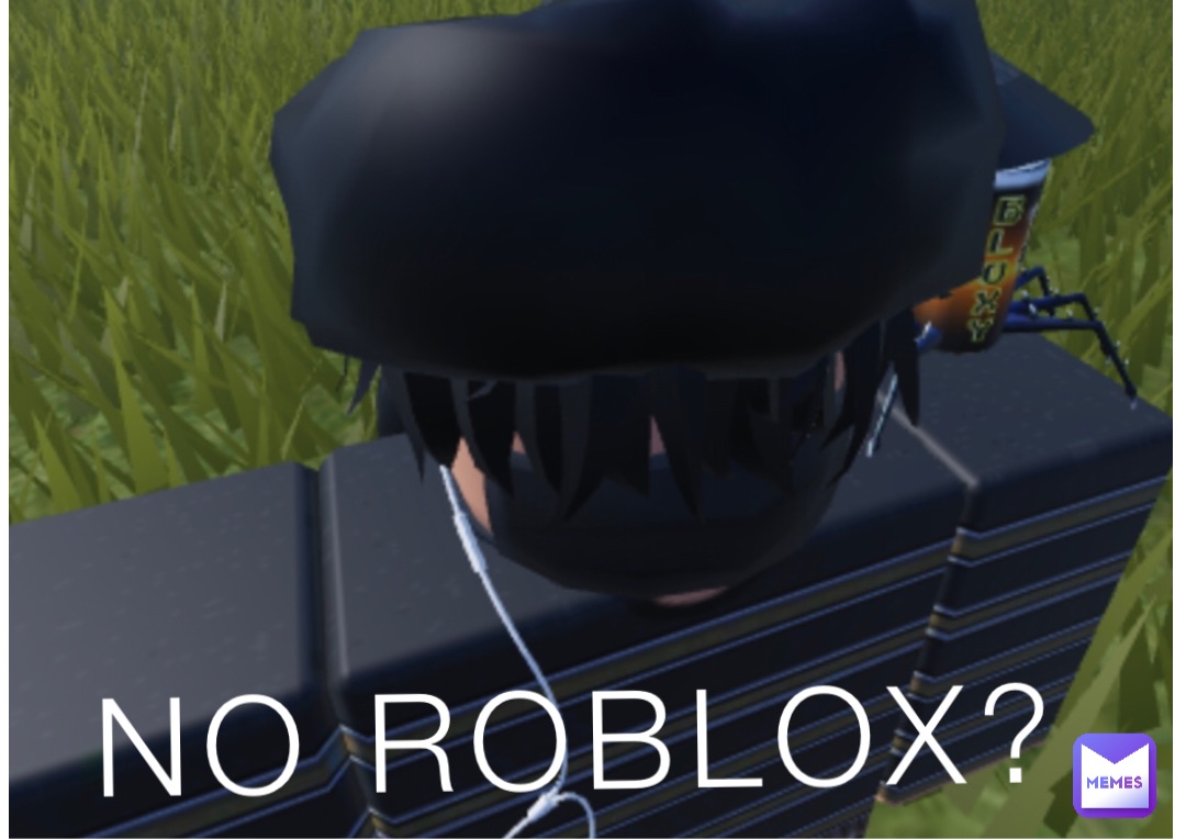 NO ROBLOX?