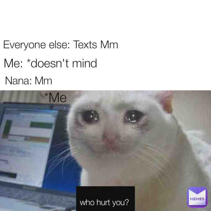 Meme preview