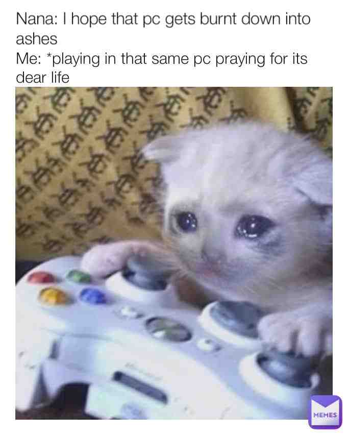 Meme preview