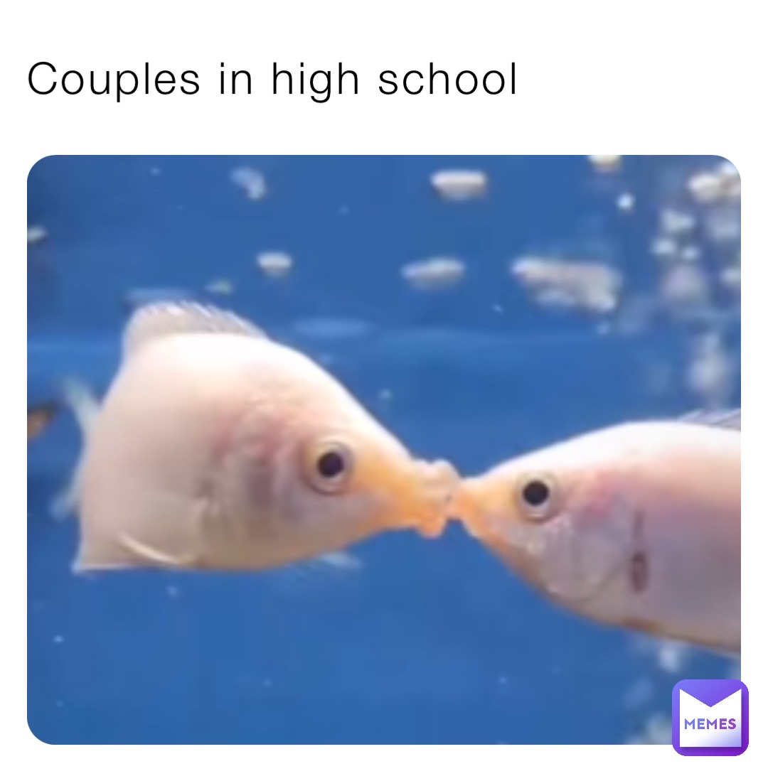 Meme by fat_undercok