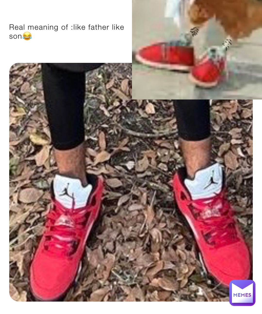 Meme by fat_undercok