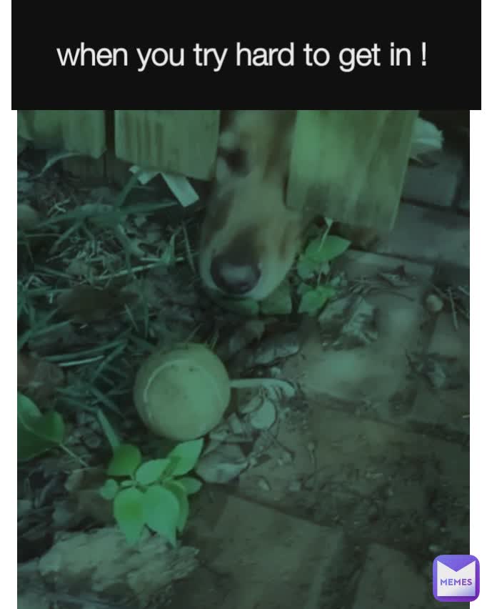 Meme by introvert__aquarious