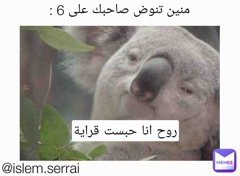 Meme shared by @islem.serrai