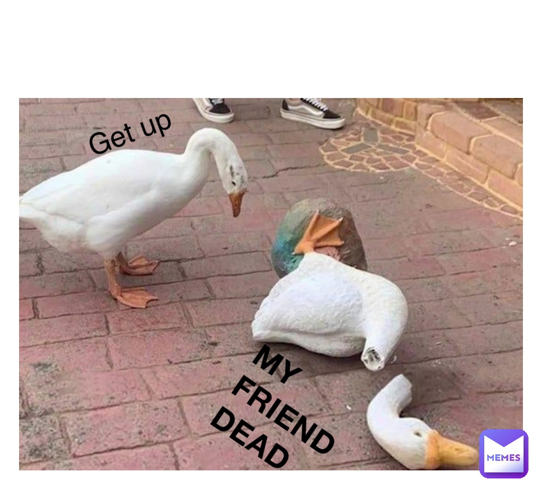 My friend dead Get up