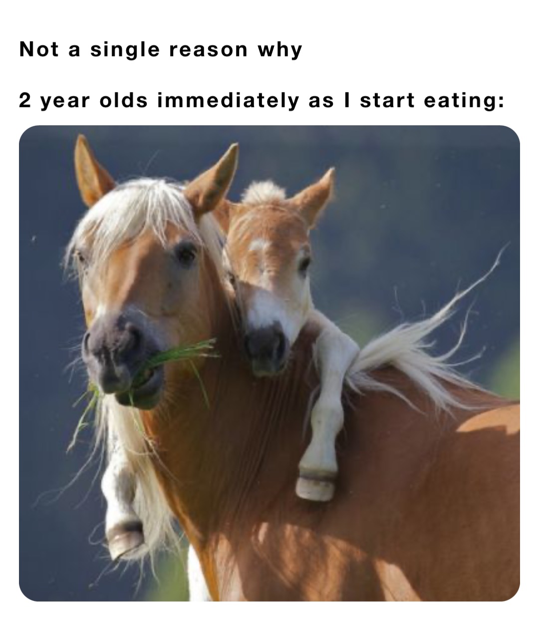Not a single reason why

2 year olds immediately as I start eating:
