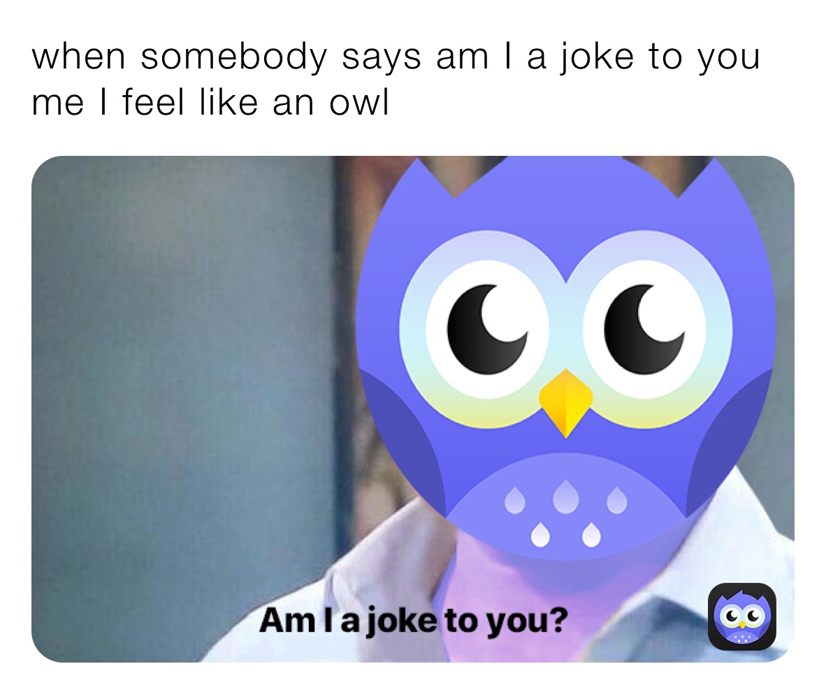 when somebody says am I a joke to you me I feel like an owl